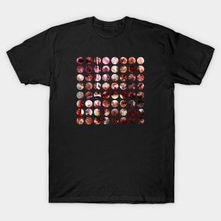 Balefires (64 circles geometric grid) T-Shirt